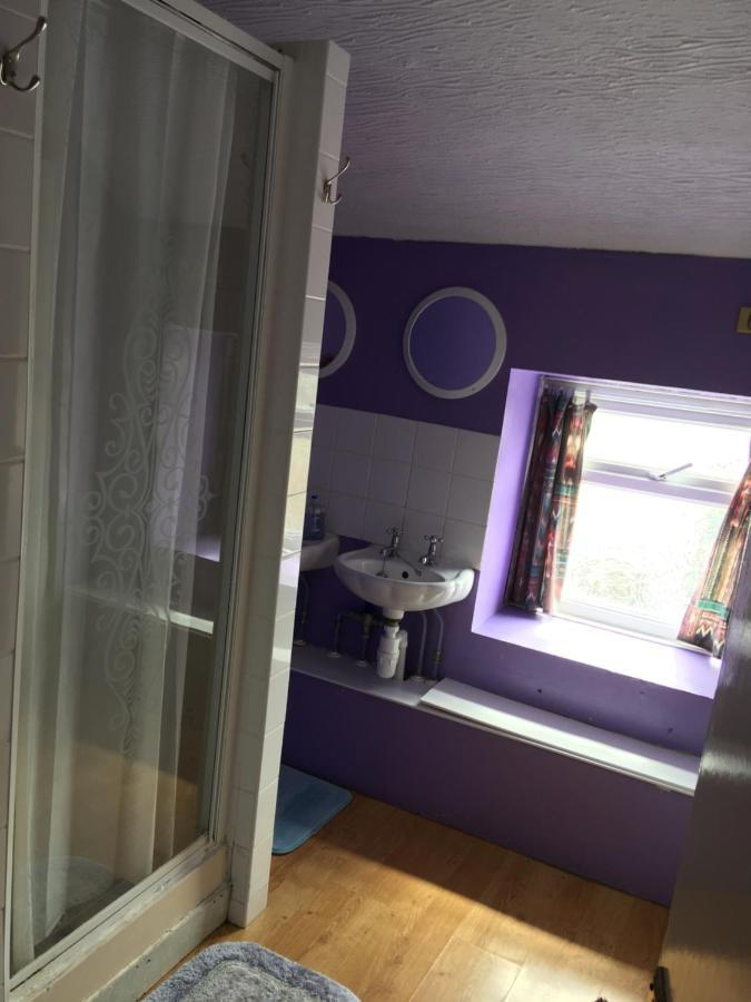 Pantyrathro International Hostel 카마던 외부 사진