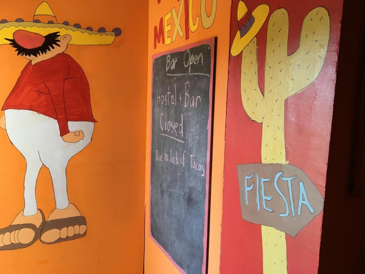 Pantyrathro International Hostel 카마던 외부 사진